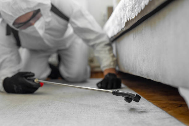 Professional Cockroach Control technician working in Elkhart Lake, WI