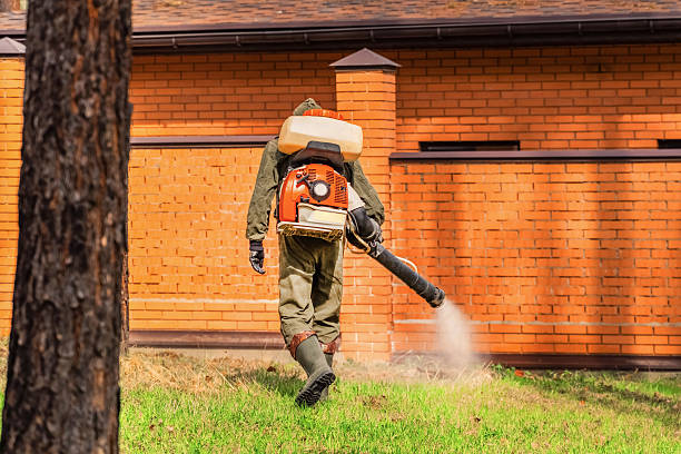 Trusted Rodent Control service in Elkhart Lake, WI - Nex Pest Control